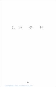 외국의 청소년단체