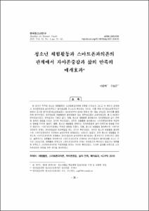 청소년 체험활동과 스마트폰과의존의 관계에서 자아존중감과 삶의 만족의 매개효과