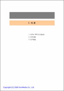 청소년 매니아 문화의 실태와 정책과제