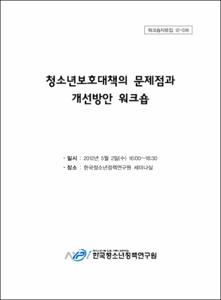 청소년보호대책의 문제점과 개선방안 워크숍