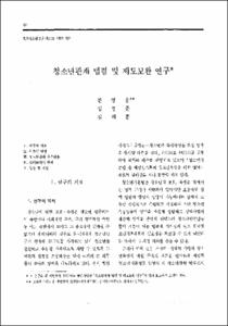 청소년관계 법령 및 제도보완 연구