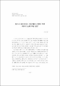 청소년 보호서비스 전달체계 구성을 위한 이론적 틀에 관한 연구