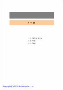 청소년 보호정책 실태와 발전방안