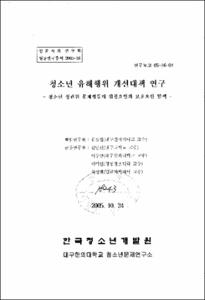 청소년 유해행위 개선대책 연구