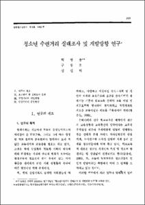 청소년 수련거리 실태조사 및 개발방향 연구