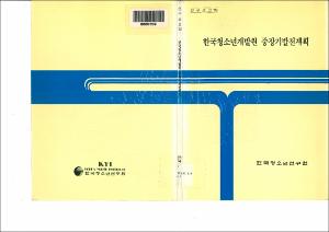 한국청소년개발원 중장기발전계획