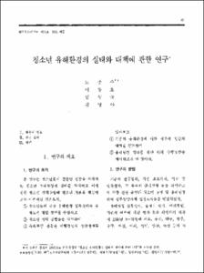 청소년 유해환경의 실태와 대책에 관한 연구
