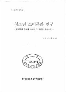 청소년 소비문화 연구