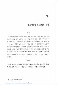 청소년문화론
