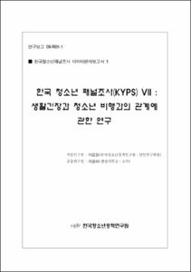 한국 청소년 패널조사 Ⅶ