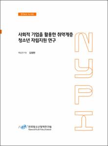 사회적기업을 활용한 취약계층 청소년 자립지원 연구