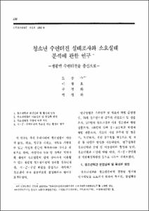 청소년 수련터전 실태조사와 소요실태 분석에 관한 연구 -생활권 수련터전을 중심으로-